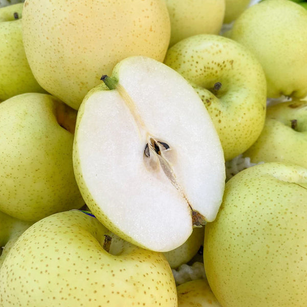China Golden Pear (L) [3 Pcs]-Apples Pears-MBG Fruit Shop