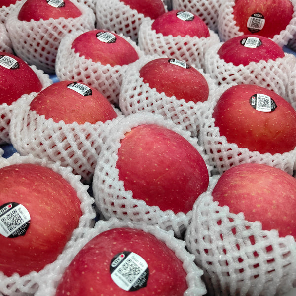 China Red Apple Fuji (M) [3 Pcs]-Apples Pears-MBG Fruit Shop