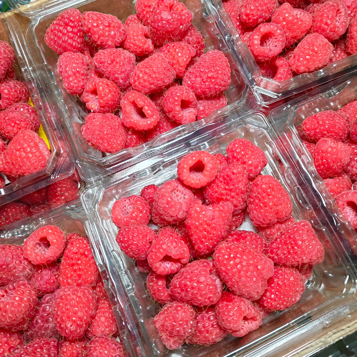 USA Raspberries (1 Pack) (170G/Pack) MBG Fruit Shop