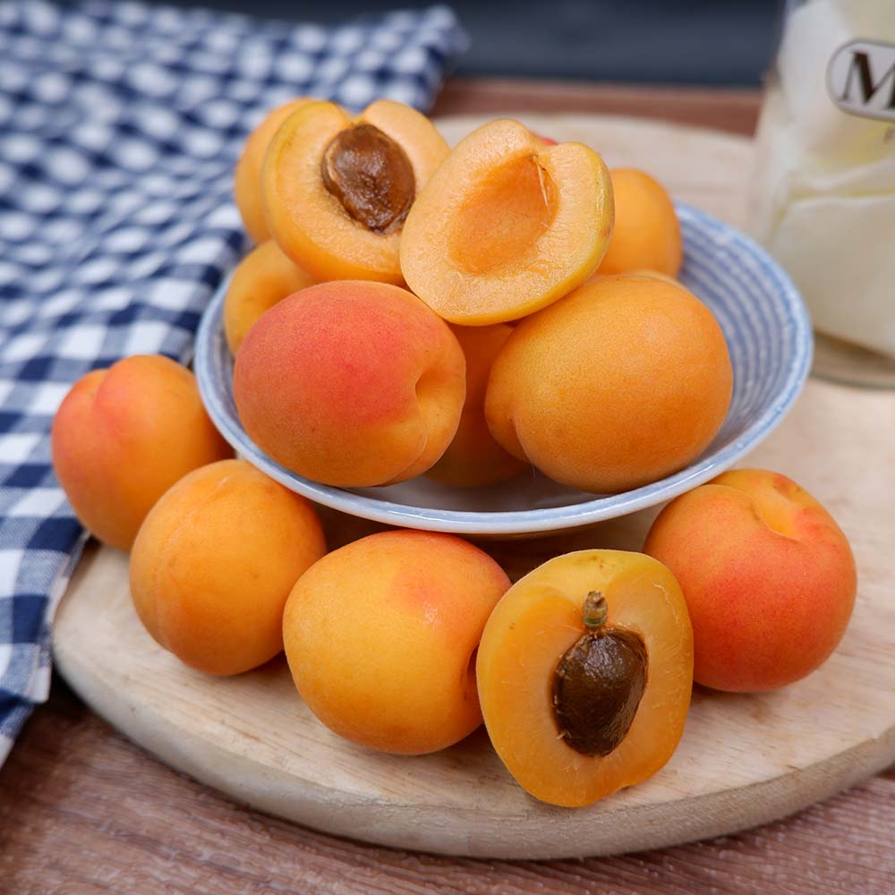 South Africa Apricot [500g/Pack] MBG Fruit Shop