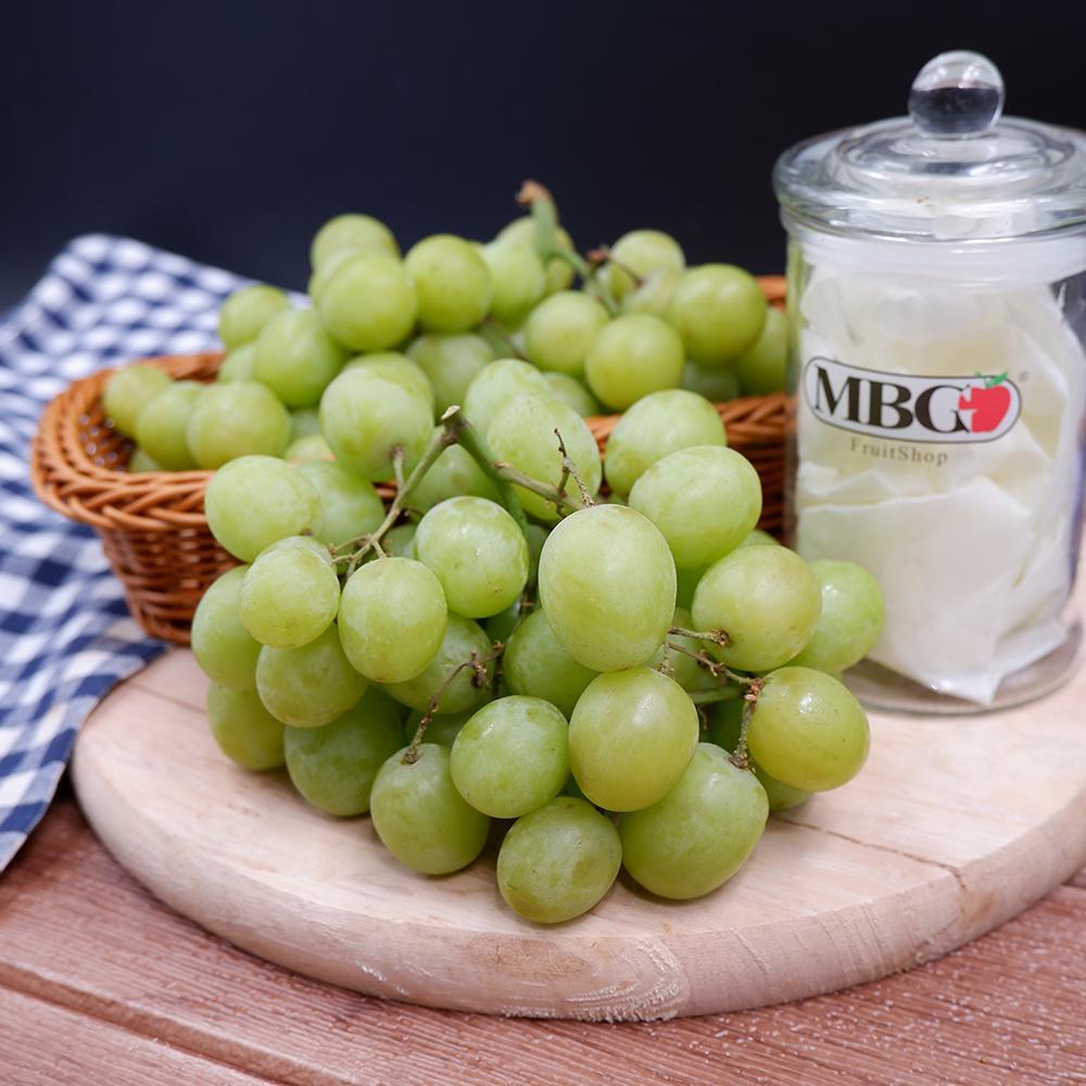 Spain El Ciruelo Autumn Crisp Green Grape [500g/pack] MBG Fruit Shop