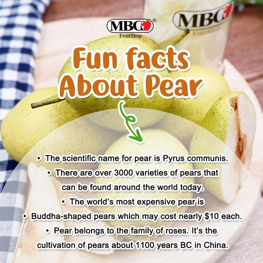 FUN FACT ABOUT PEAR!