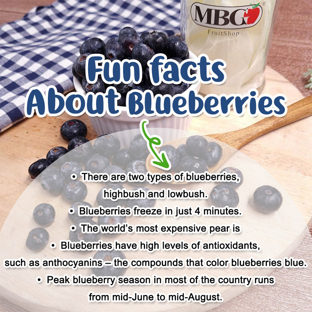 FUN FACT ABOUT BLUEBERRY