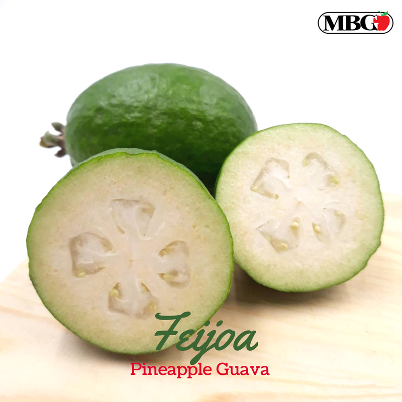 Feijoa, Pineapple Guava