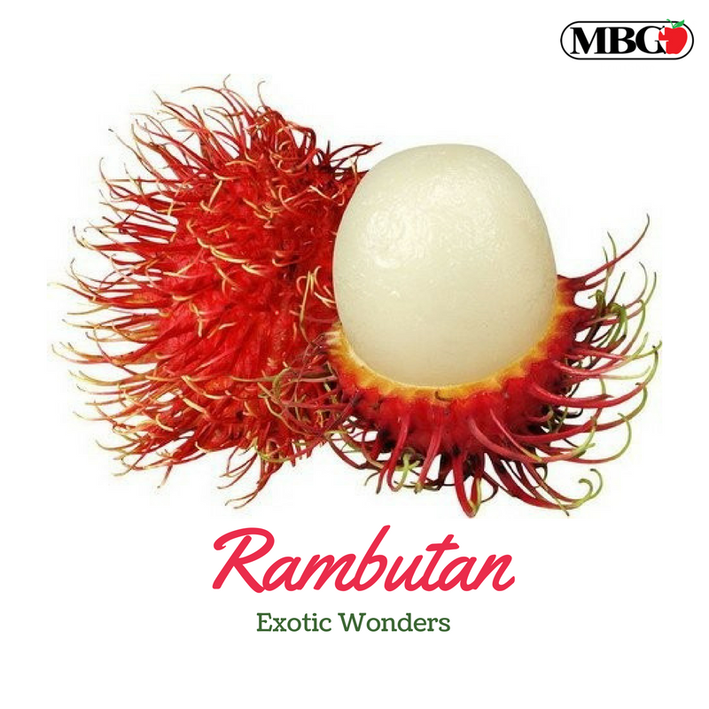 Rambutan, Exotic Wonders