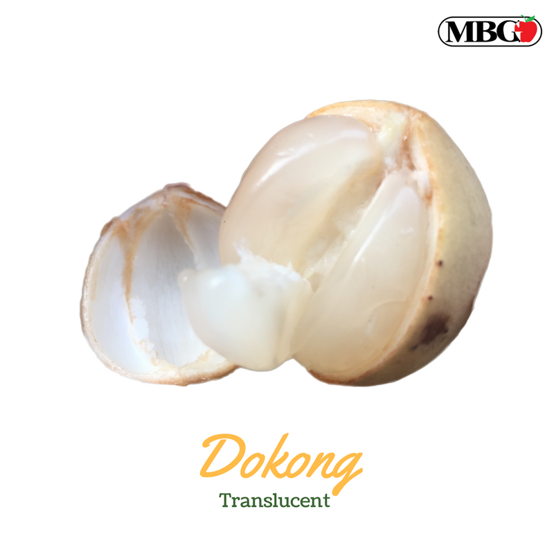 Dokong, Translucent Juicy