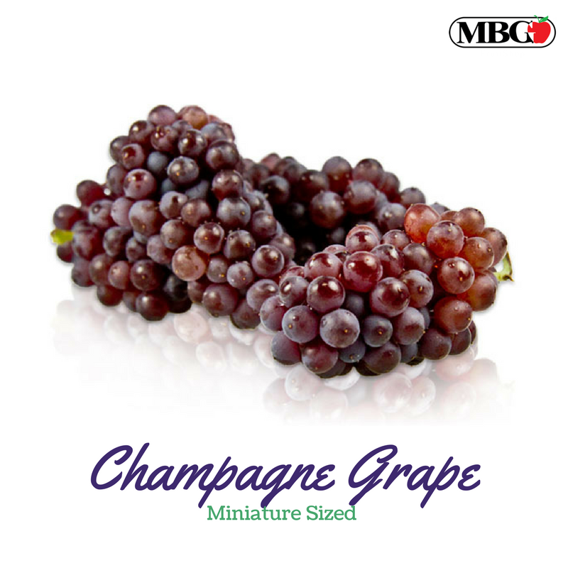 Champagne Grape, Miniature Sized