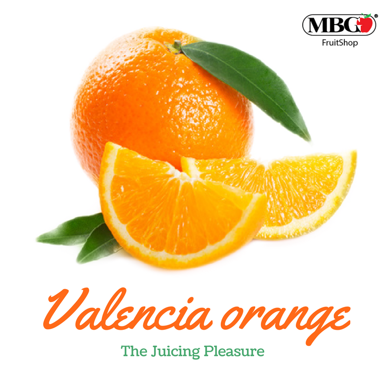 Valencia Orange, Handpicked for Juicing