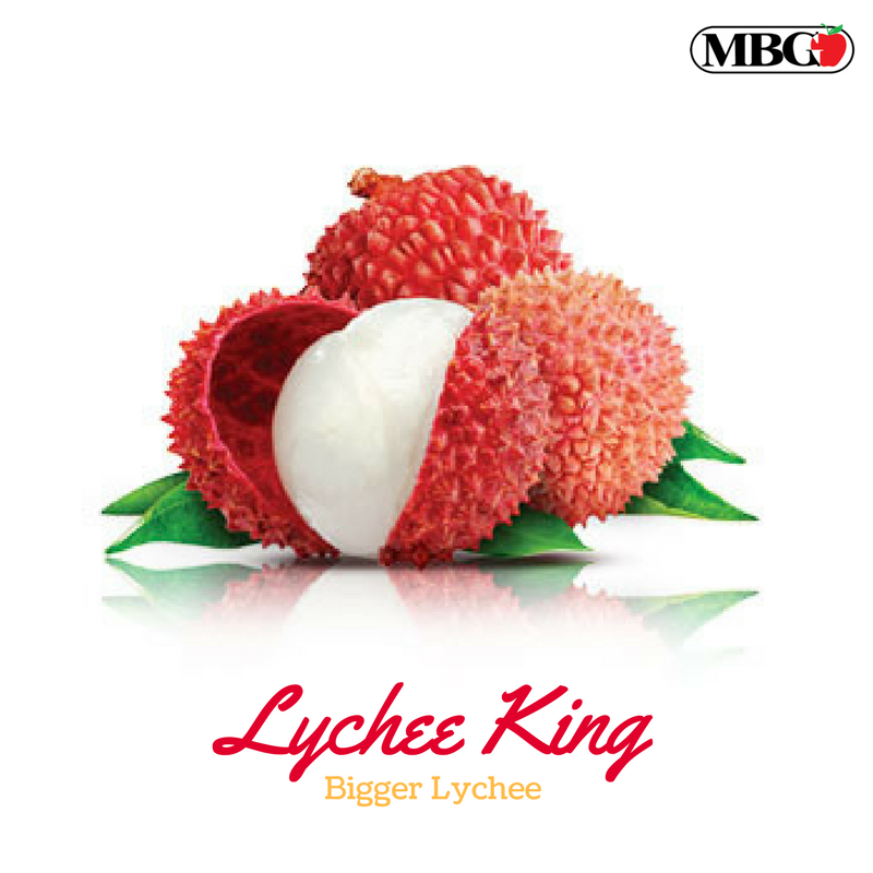 Lychee King, Bigger Lychee