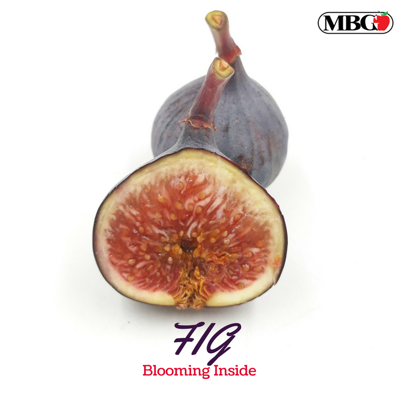 FIG