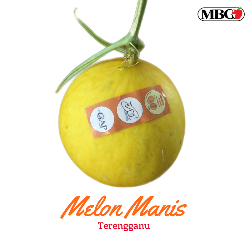 Melon Manis Terengganu