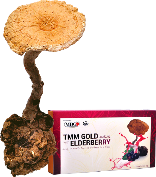 TMM Tiger Milk Mushroom Gold with Elderberry by MBG