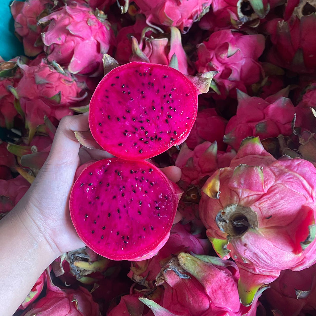 1 Basket x Malaysia Red Dragon Fruit (S) (50Kg+/-)-Exotic Fruits-MBG Fruit Shop