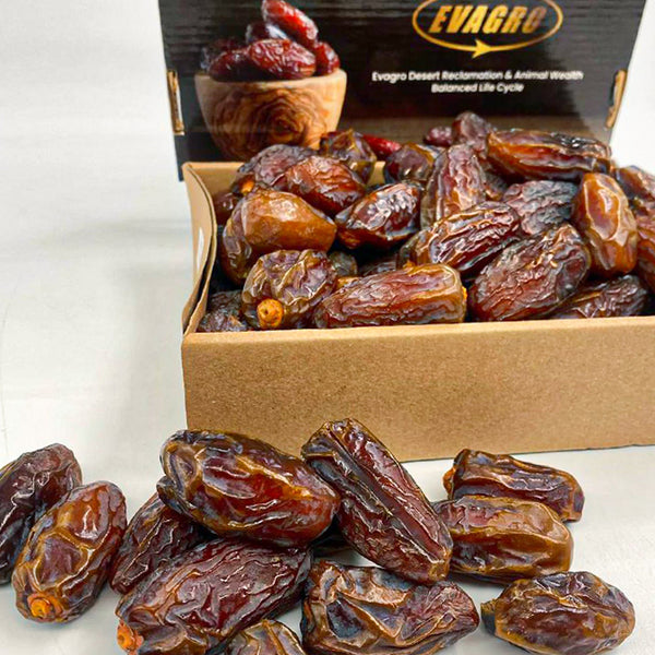 1 Pack x Egypt Medjoul Date [1KG/Pack] – MBG Fruit Shop