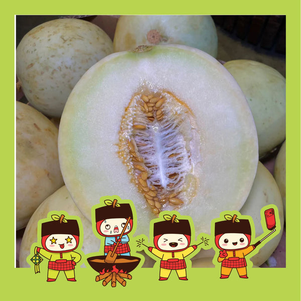 Malaysia Honey Dew [+/-1.9Kg]-Exotic Fruits-MBG Fruit Shop