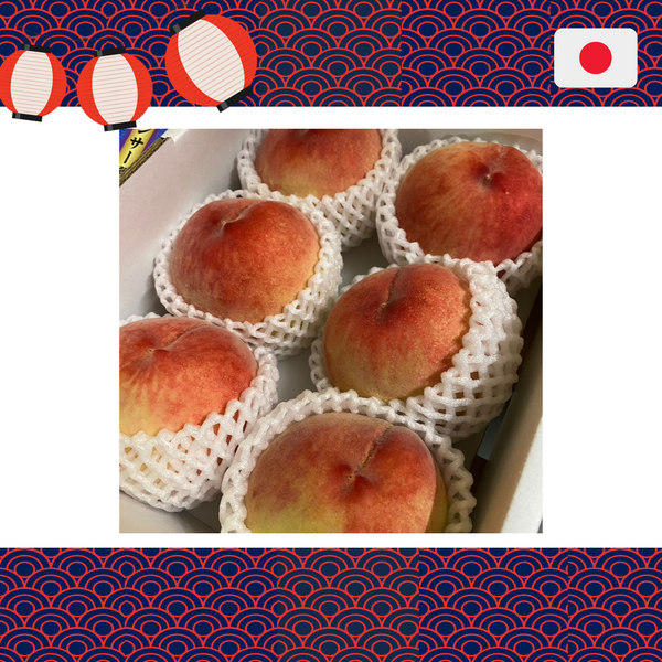 [✈️ Air Flown] 1 Box x Japan Kasugai White Peach (6Pcs/Box)-Stone Fruits-MBG Fruit Shop