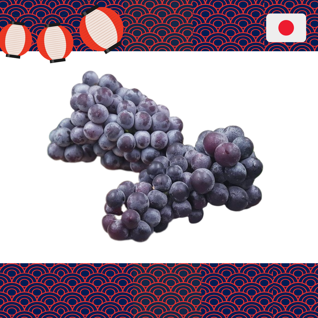 [✈️ Air Flown] 1 Box x Japan Yamanashi Kyoho Black Grape-Grapes-MBG Fruit Shop