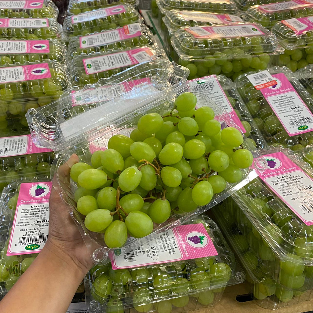 (✈️ Air Flown) 1 Carton x Egypt Early Sweet Green Grape [10Pack/Carton]-Grapes-MBG Fruit Shop