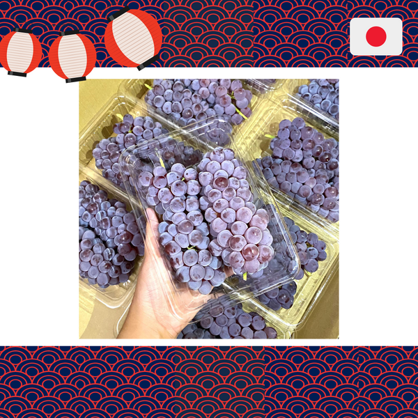 [✈️Air Flown] 1 Pack x Japan Yamanashi Delaware Grapes [300G/Pack]-Grapes-MBG Fruit Shop