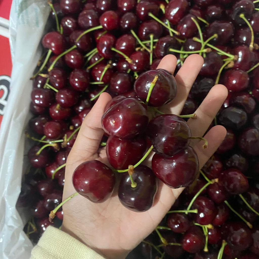 (✈️ Air Flown) 1 Pack x USA Cherry [500G/Pack]-Stone Fruits-MBG Fruit Shop