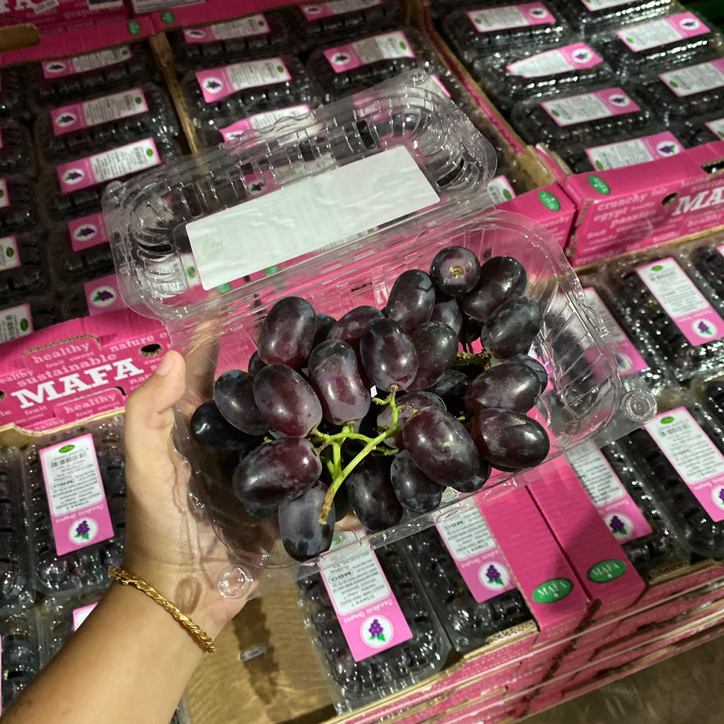 (✈️ Air Flown) 2 Pack x Egypt Julep Black Grape [500G/Pack]-Grapes-MBG Fruit Shop