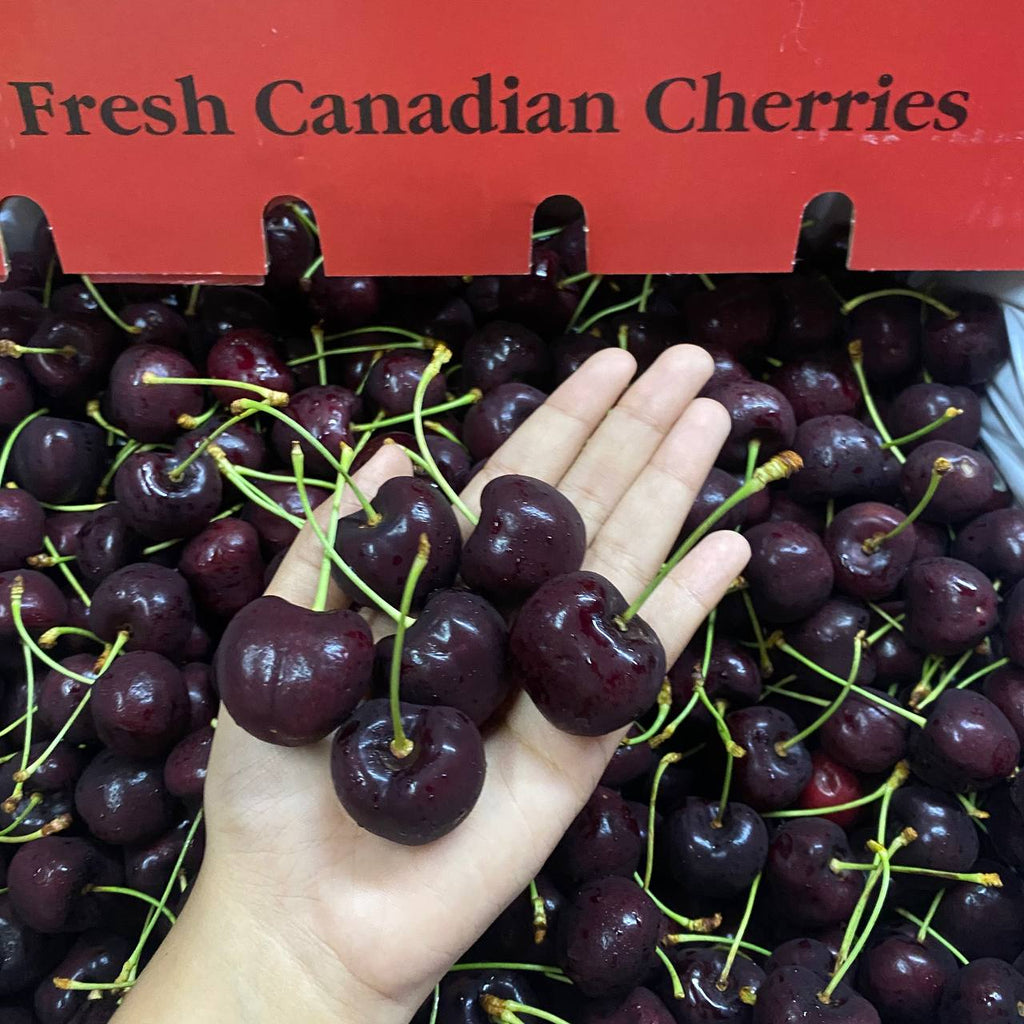 (✈️ Air Flown) Canada Staccato Cherry-Stone Fruits-MBG Fruit Shop