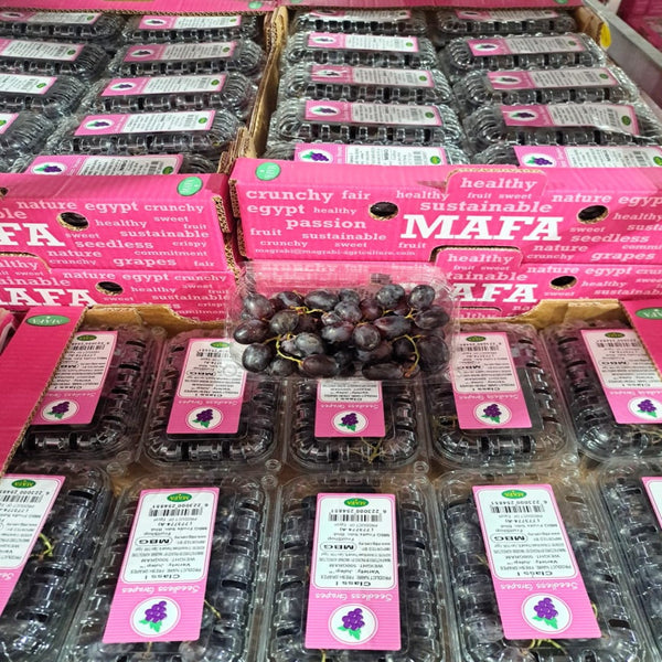 (✈️ Air Flown) Egypt Julep Black Grape-Grapes-MBG Fruit Shop
