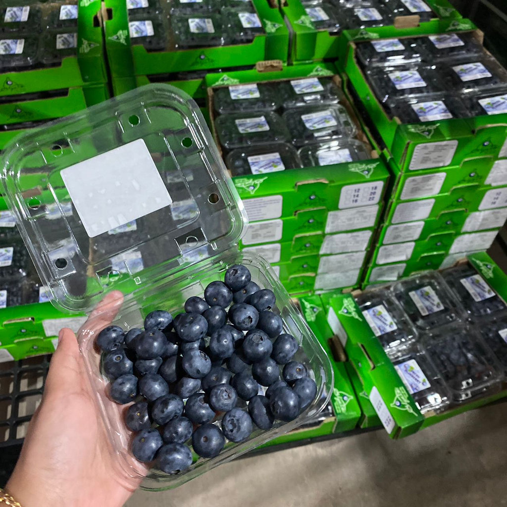 (✈️ Air Flown) Turkiye Blueberry-Berries-MBG Fruit Shop