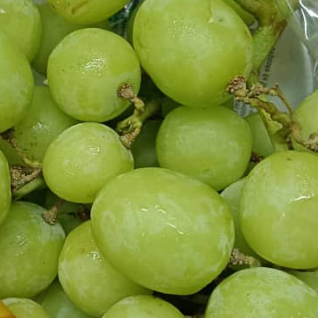 (✈️ Air Flown) USA Autumn Crisp Green Grape [500G/Pack]-Grapes-MBG Fruit Shop