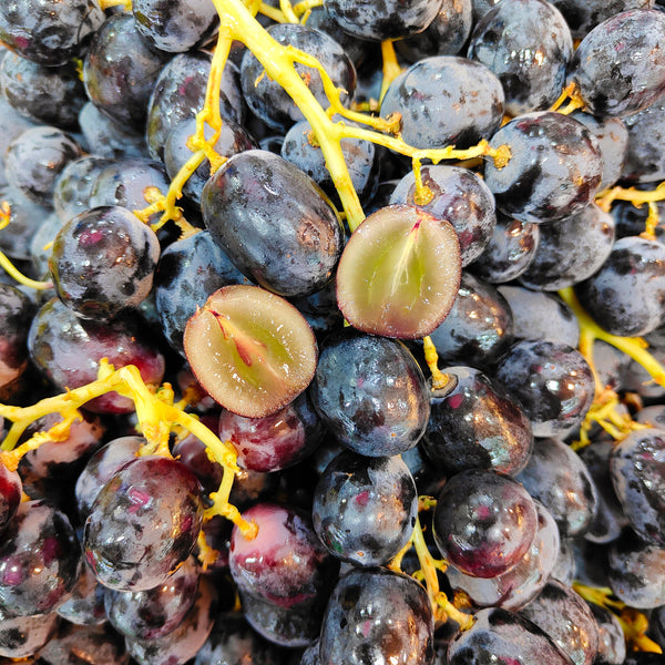 Australia Adora Seedless Black Grape [500G/Pack]-Grapes-MBG Fruit Shop