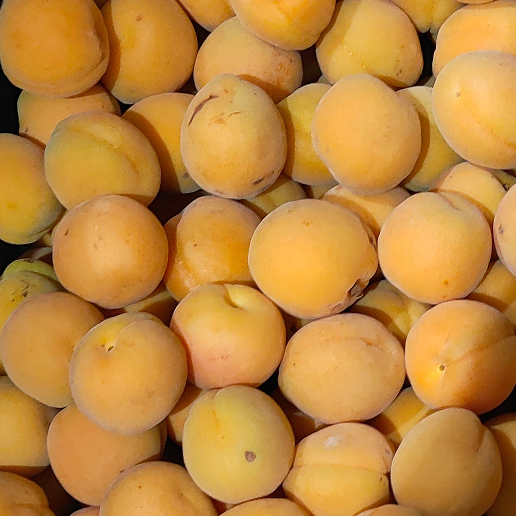 Australia Apricot [500G/Pack]-Stone Fruits-MBG Fruit Shop