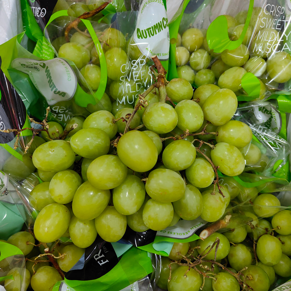 Australia Autumn Crisp Green Grape (Loose) [500G]-Grapes-MBG Fruit Shop