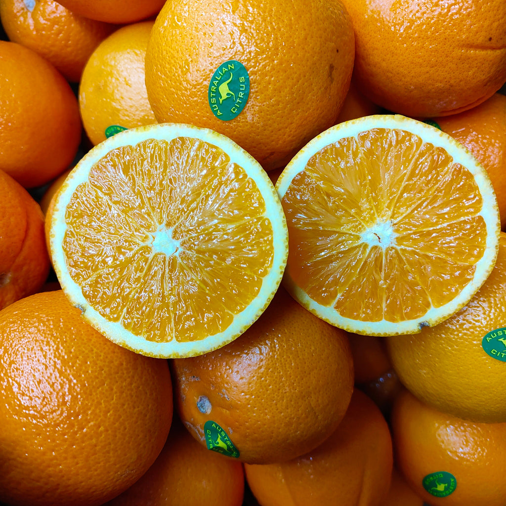 Australia Navel Orange (M) [3 Pcs]-Citrus-MBG Fruit Shop