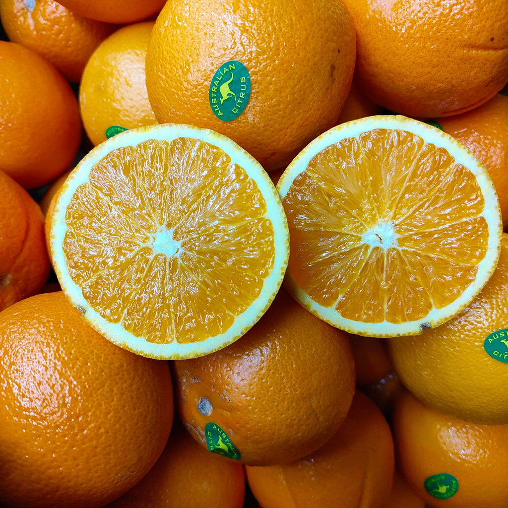 Australia Navel Orange (M) [5 Pcs]-Citrus-MBG Fruit Shop