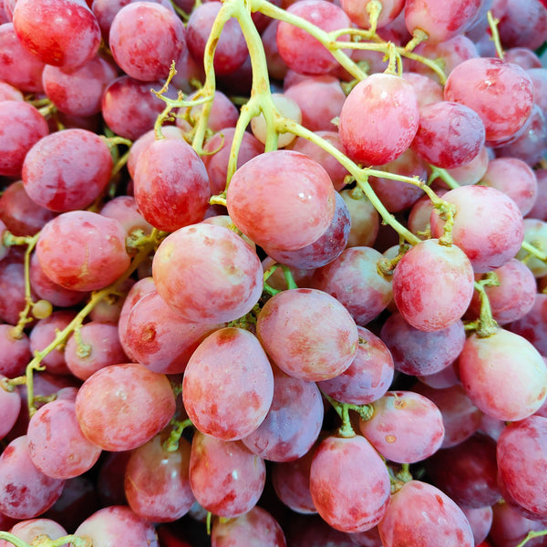 Australia Red Globe Grapes [900g/pack]-Grapes-MBG Fruit Shop
