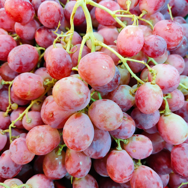 Australia Red Globe Seeded Grapes [500G]-Grapes-MBG Fruit Shop