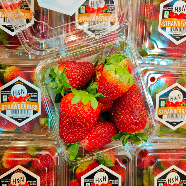 Australia Strawberry [250G/Pack]-Berries-MBG Fruit Shop