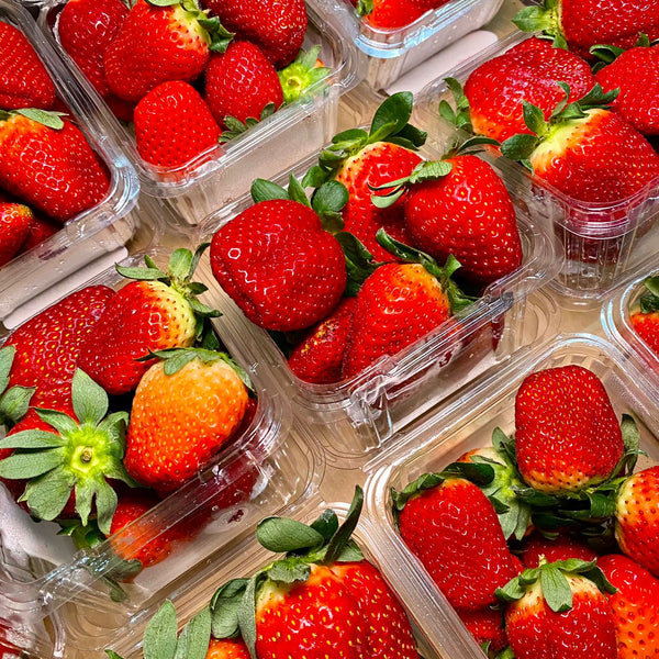 Australia Strawberry [250G/Pack]-Berries-MBG Fruit Shop