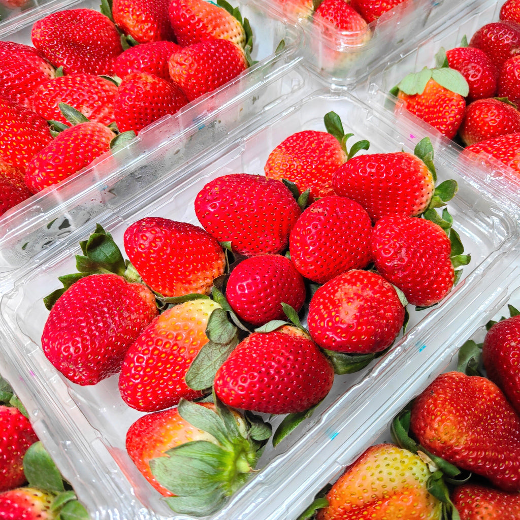Australia Strawberry (✈️ Air Flown) [250G/Pack]-Berries-MBG Fruit Shop