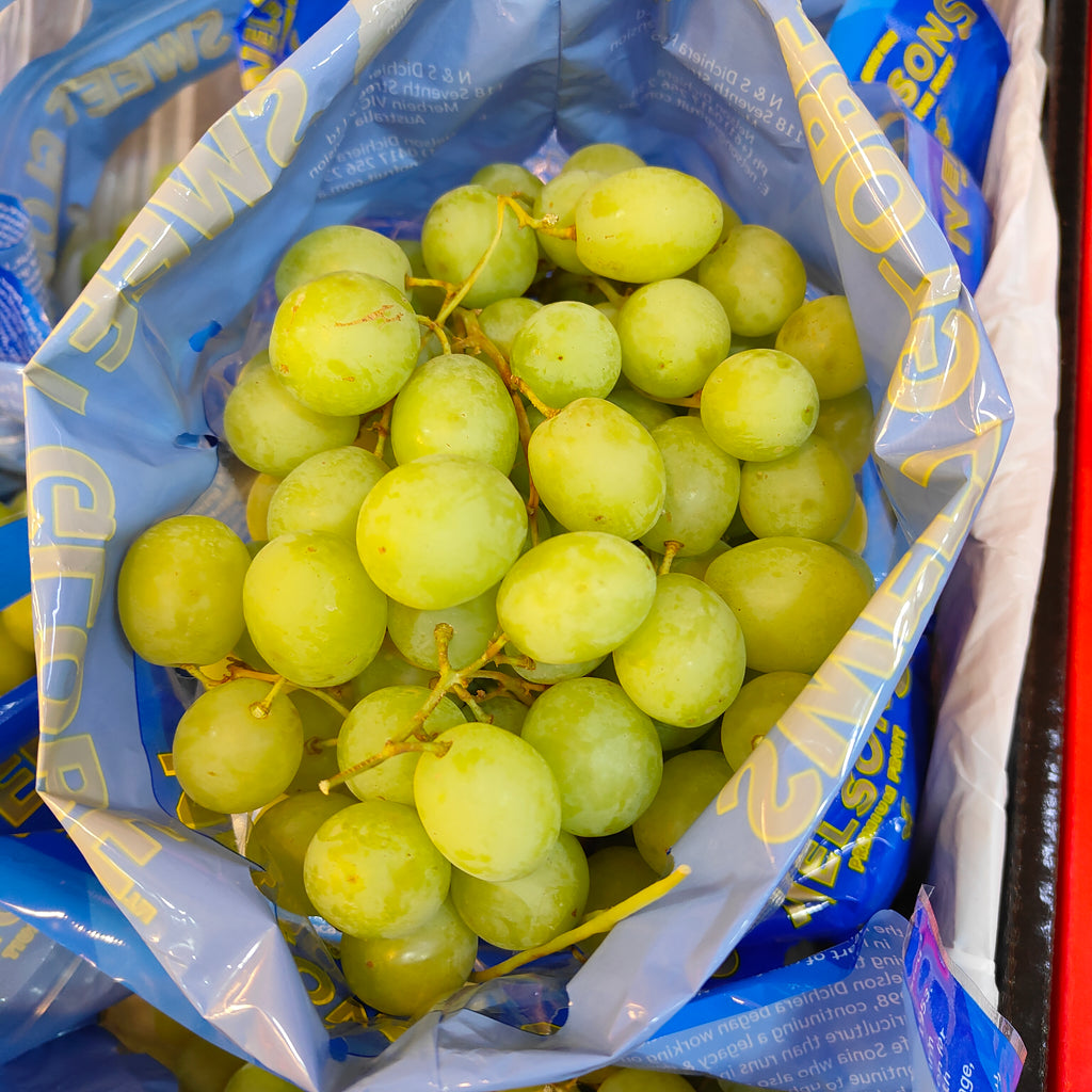 Australia Sweet Globe Seedless Green Grapes [900g]-Grapes-MBG Fruit Shop