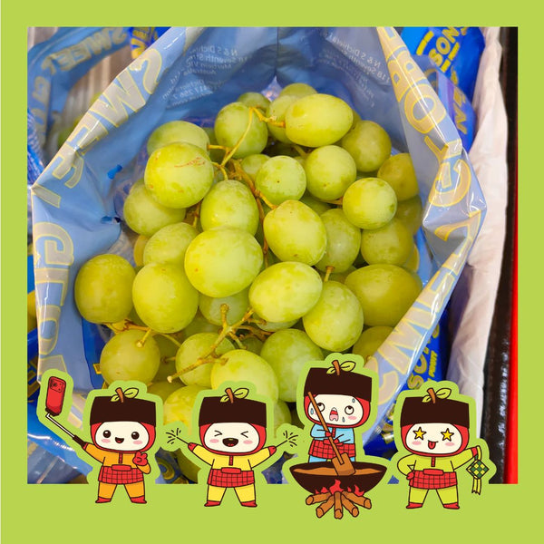 Australia Sweet Globe Seedless Green Grapes [900g]-Grapes-MBG Fruit Shop