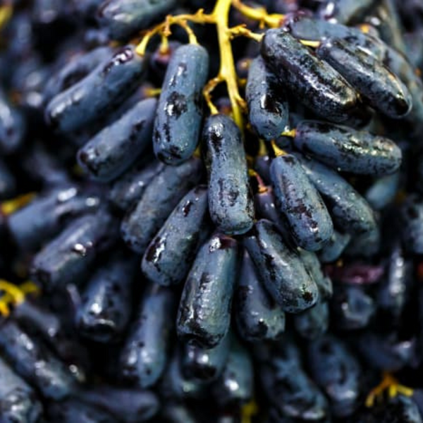 Australia Sweet Sapphire Grape [500G]-Grapes-MBG Fruit Shop
