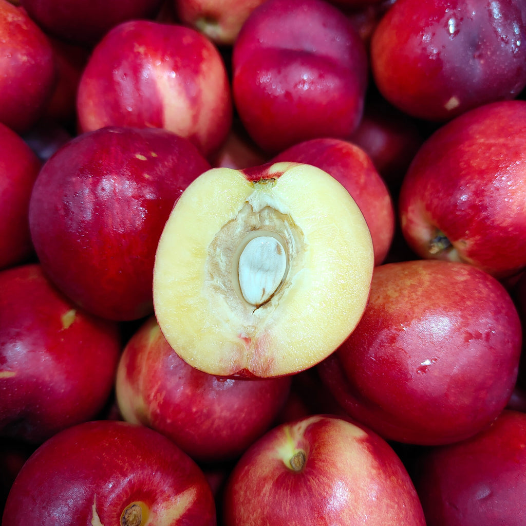 Australia White Nectarine (S) [6 Pcs]-Stone Fruits-MBG Fruit Shop