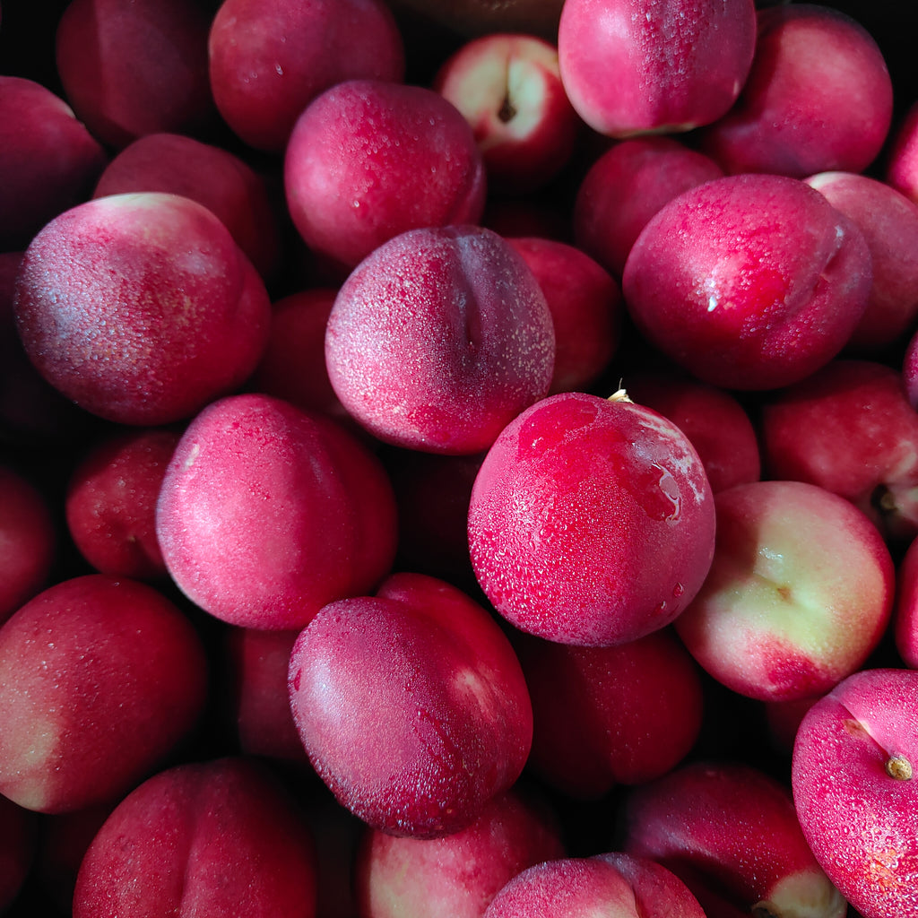 Australia White Nectarines [+/-1kg/pack]-MBG Fruit Shop