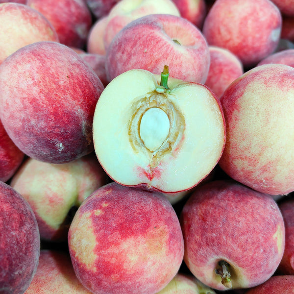 Australia White Peach (S) [7Pcs/Pack]-Stone Fruits-MBG Fruit Shop