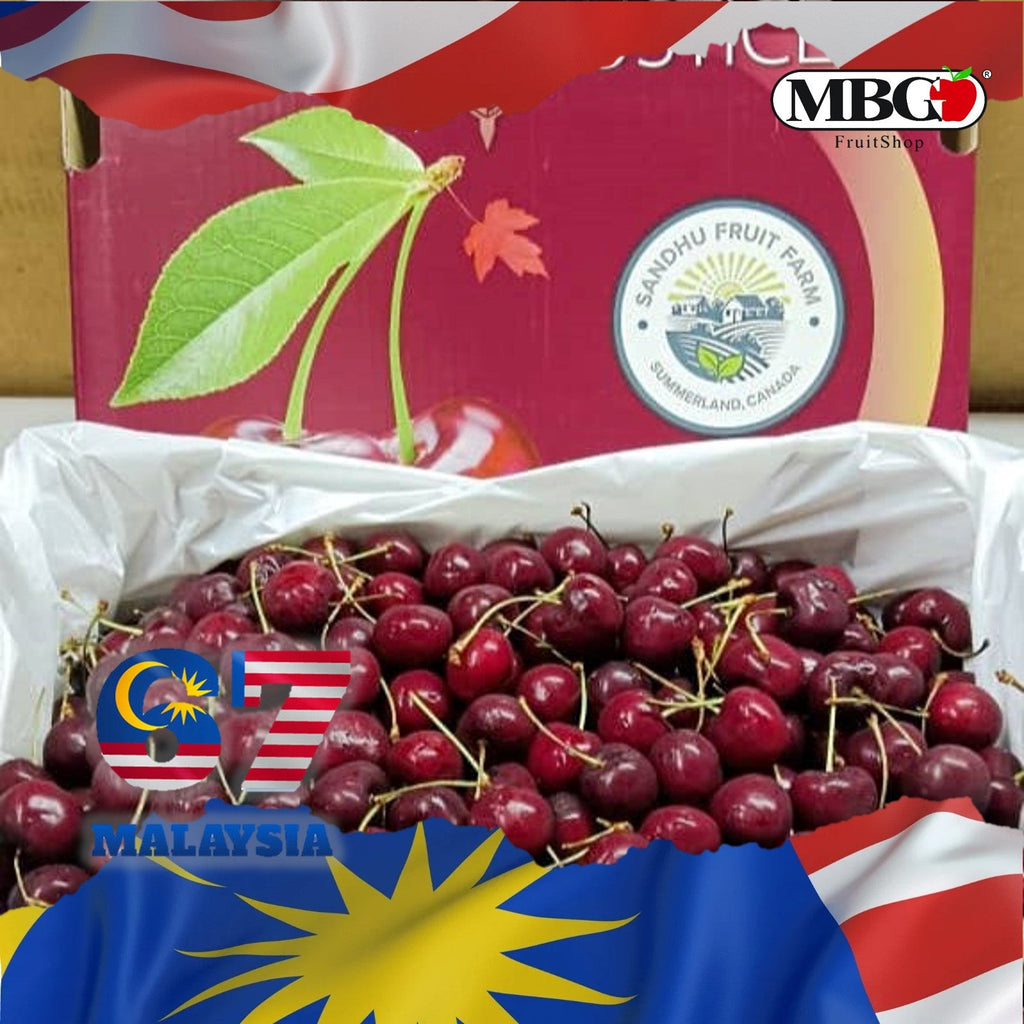 Canada Staccato Cherry (1 Pack) [250G/Pack]-Stone Fruits-MBG Fruit Shop