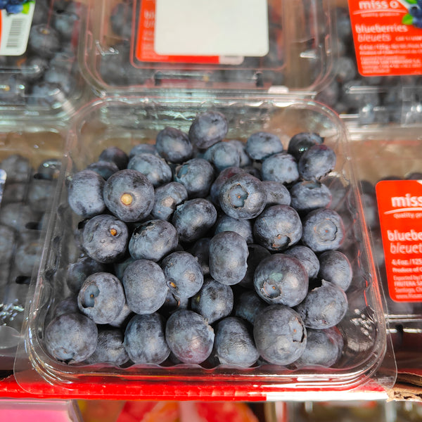 Chile Blueberry (125g/pack)-Common Fruits-MBG Fruit Shop