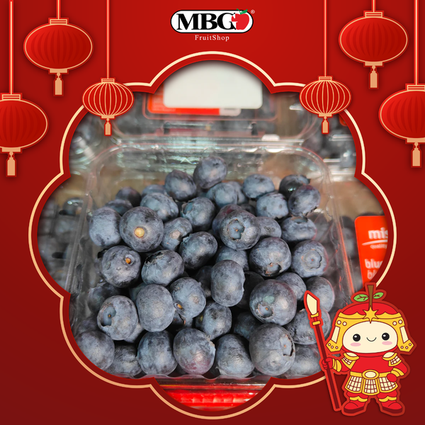 Chile Blueberry (125g/pack)-Common Fruits-MBG Fruit Shop