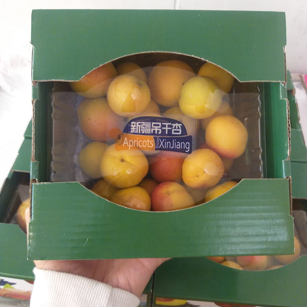 China Apricot [400G/1Pack]-Stone Fruits-MBG Fruit Shop