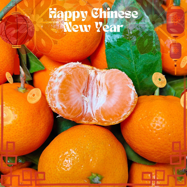 China Baby Tangerine [1KG/Pack]